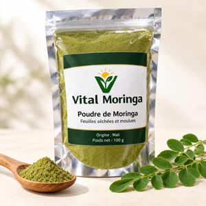 Visuel de présentation Vital Moringa : poudre de moringa 100 g en sachet argenté, avec feuilles et cuillère de poudre